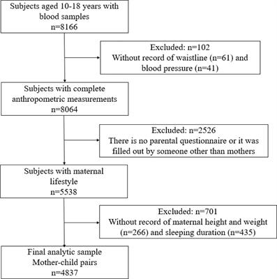 Association Between Maternal Lifestyle and Risk of Metabolic Syndrome in Offspring—A Cross-Sectional Study From China